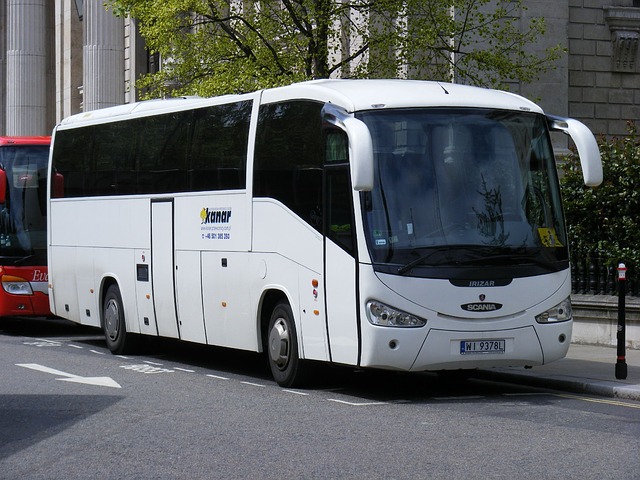 bílý cestovní autobus